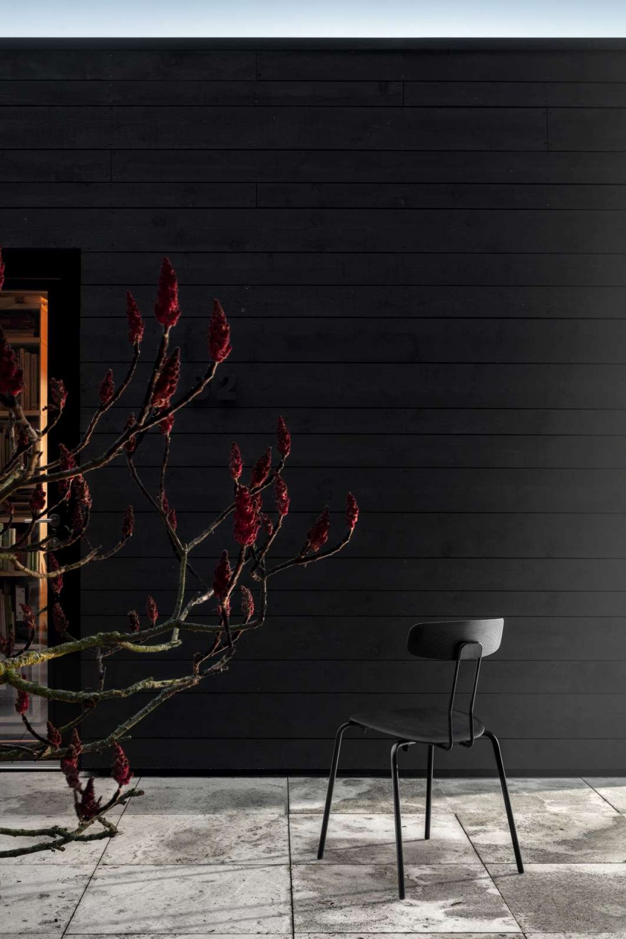 Schwarzer Okito Chair Stuhl Zeitraum vor dunkler Holzwand und rotem Gewächs, minimalistisches Möbeldesign.