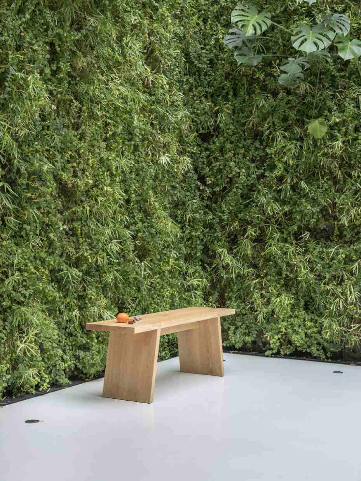 Hölzerne Dovetail Bank vor grüner Wand. Moderne Gartenbank für den Außenbereich.