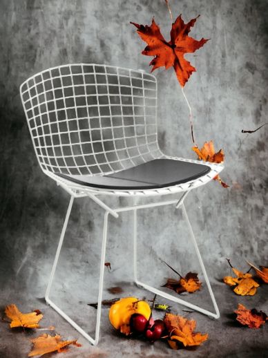 Bertoia-stoel OUTDOOR Knoll International Quick-Ship