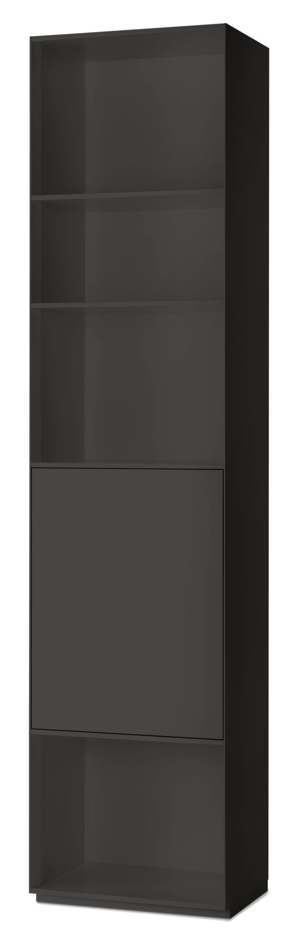 Piure Nex Pur Regal mit Tür und Fachboden in Anthrazit, modernes Wohnzimmermöbel für stilvolle Einrichtung.