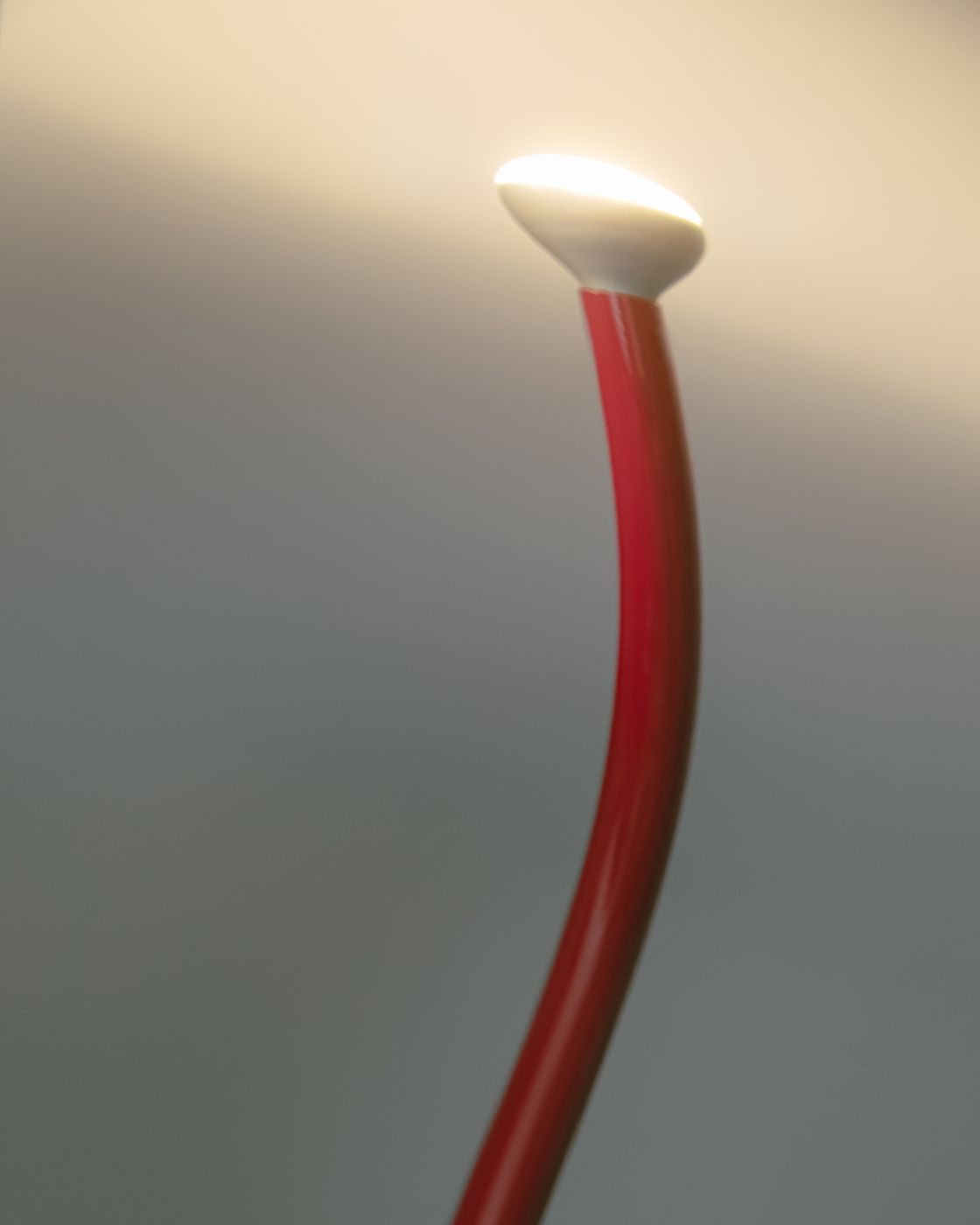 Luminator staande lamp van Flos, wit