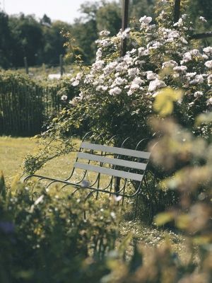 Gardener's Sofa von Design House Stockholm im Garten, umrankt von Rosen und Grünpflanzen.