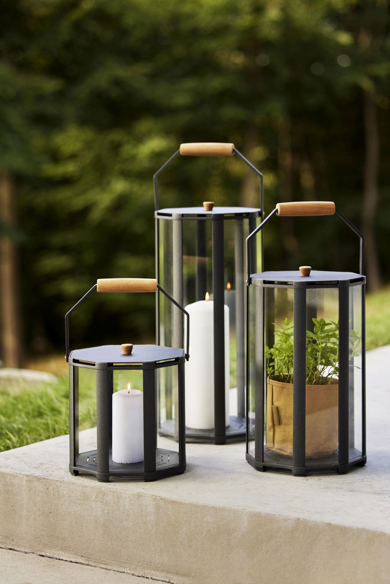 Drei Cane-Line Lightlux Laternen mit Kerzen und Pflanze im Garten. Teakholz Details.
