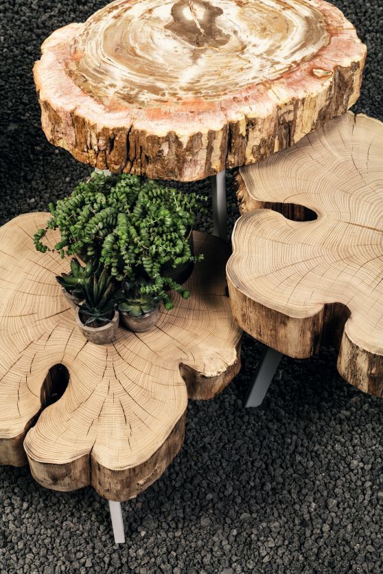 BC 05 Stomp Outdoor Couchtisch/Beistelltisch Janua aus Baumscheiben mit Pflanzen auf dunklem Kiesboden.