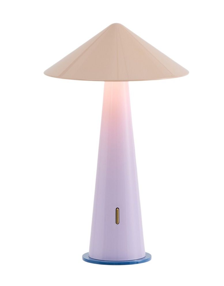 Tipsy draagbare lamp oplaadbare lamp / tafellamp house of home