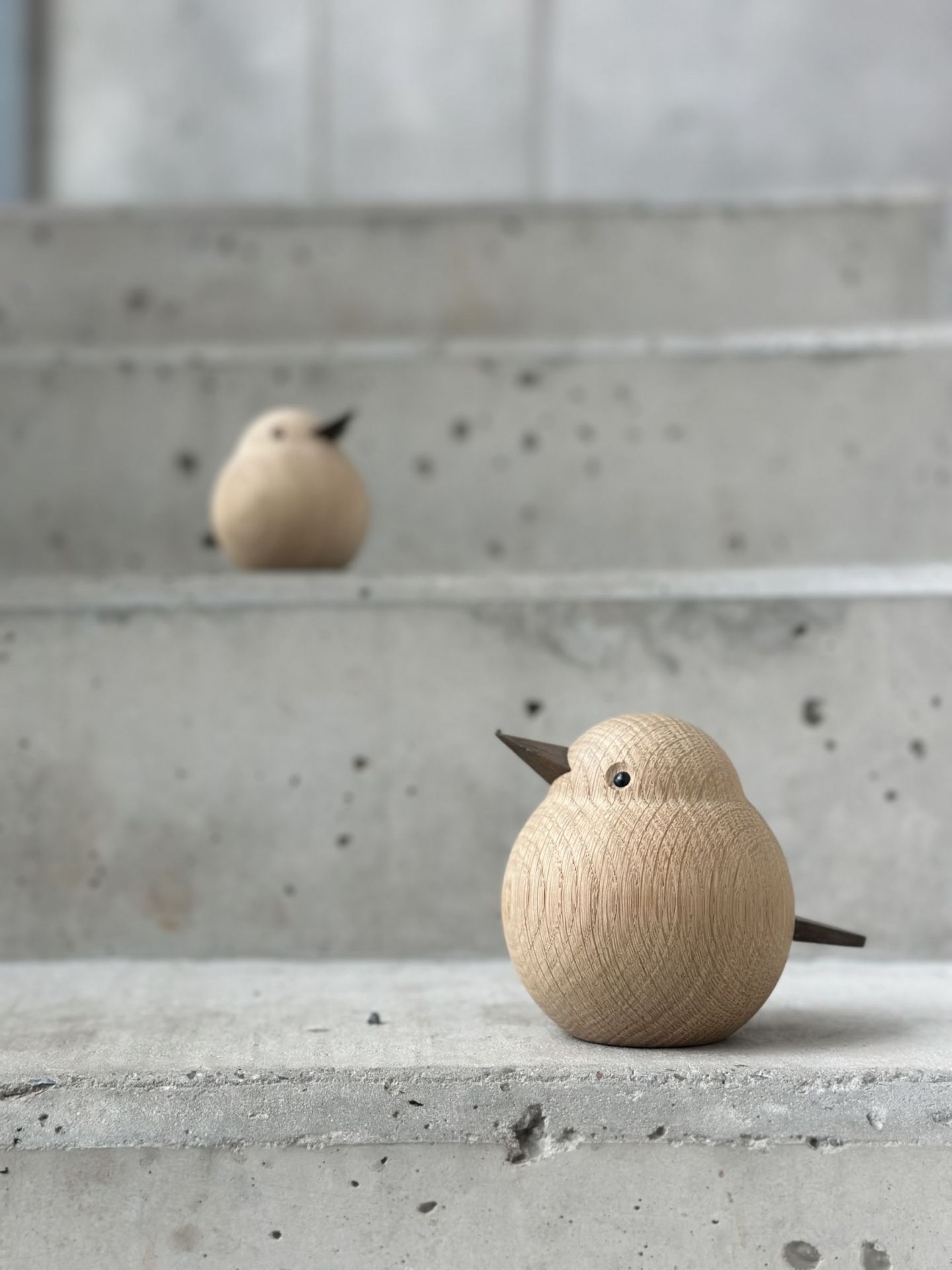 Zwei hölzerne Papa Sparrow Deko-Vögel aus Eiche natur von Novoform auf einer Betontreppe.
