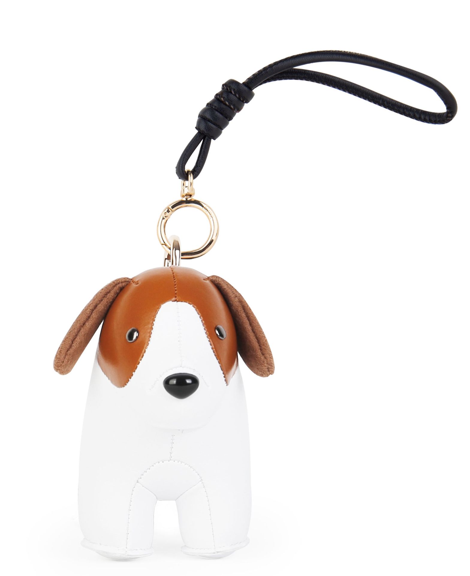 Tashanger Tashanger Beagle Züny