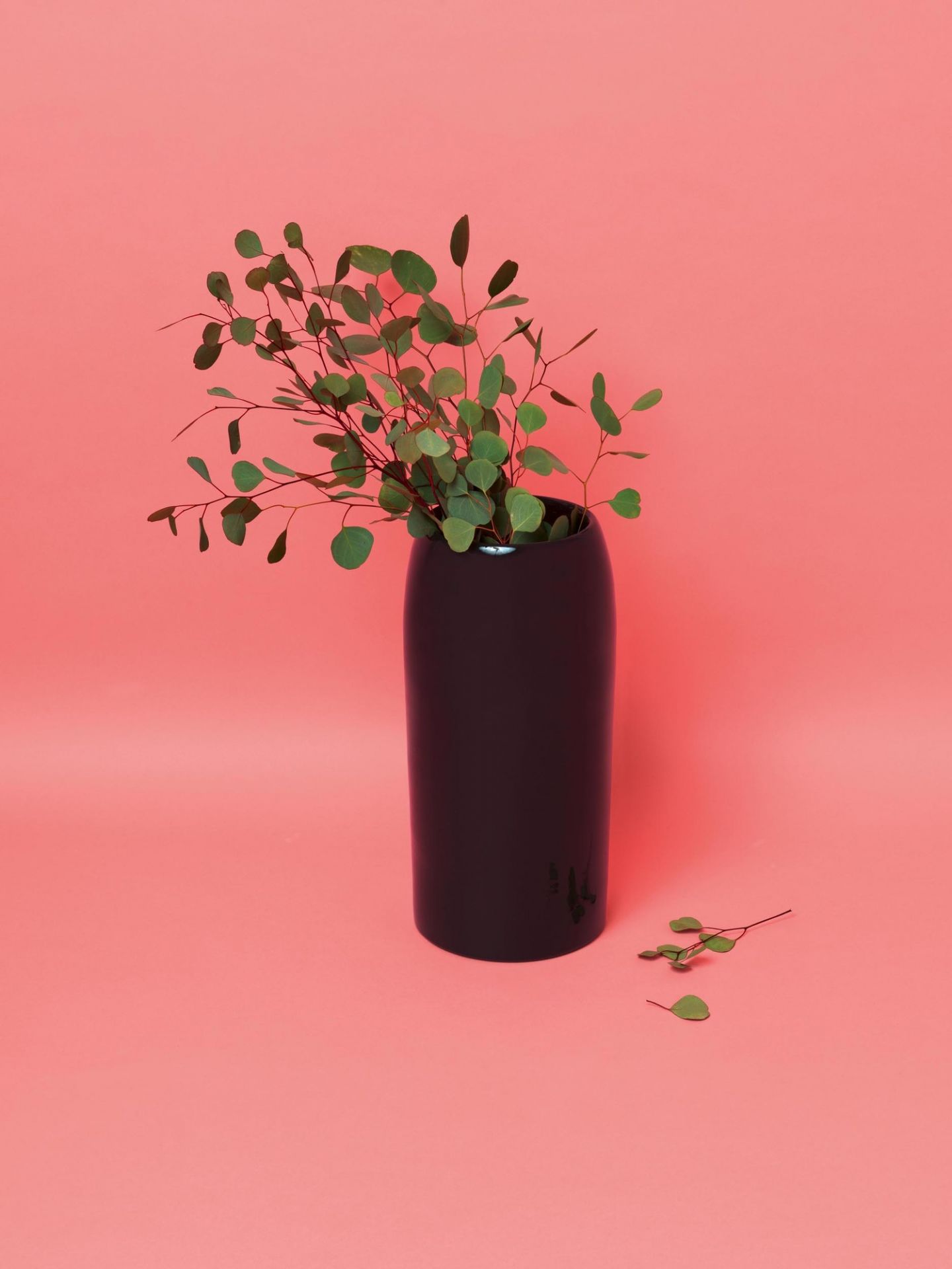 Nachtblauer Schirmständer "Carlo" von Schönbuch mit Eukalyptus-Zweigen, moderner Design Schirmhalter für Flur und Eingangsbereich.