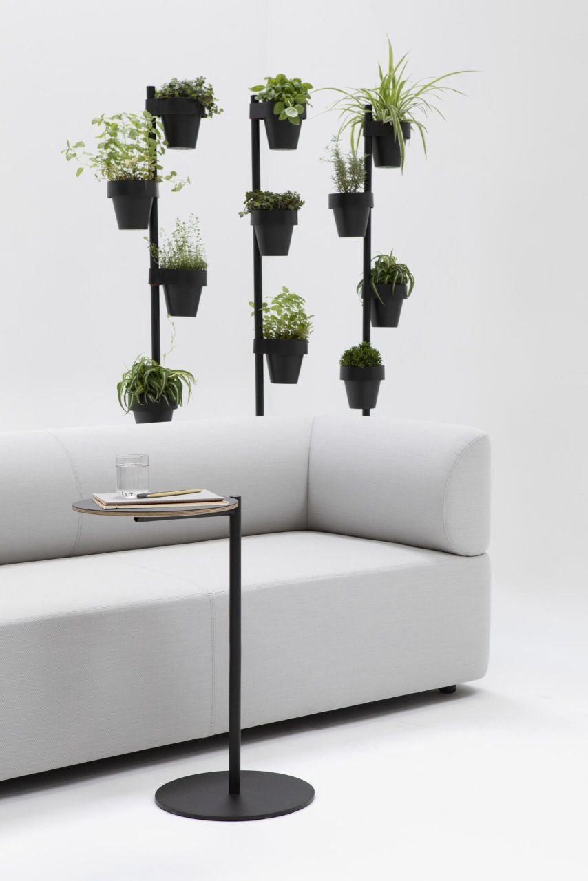 Helles Mezza Sitzelement Sofa von Cascando mit Beistelltisch und Pflanzenwand im modernen Büro.