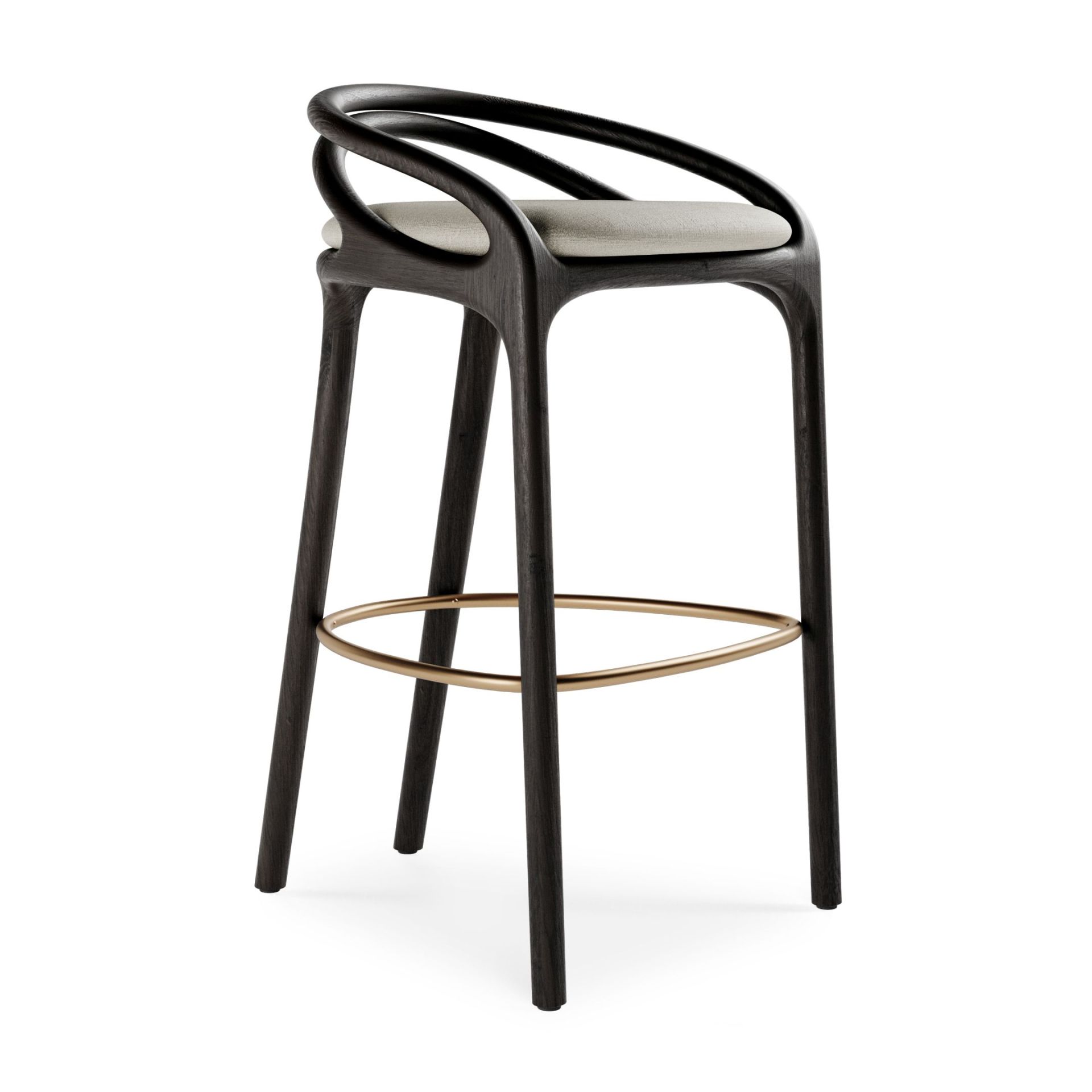 Aleta barkruk Morpho