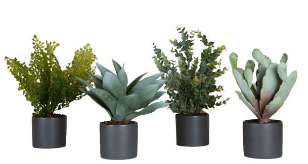 Phoenix-vetplanten in cilindervormige potten, set van 4, Grau (flespotten) Kunstplant Tanaman    