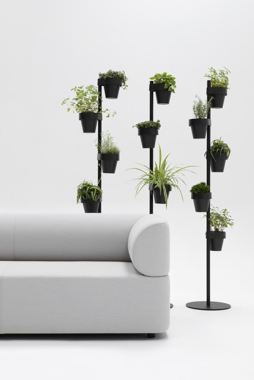 Helles Mezza Sofa von Cascando mit Pflanzenständer im minimalistischen Design für modernes Wohnen und Büroeinrichtung.