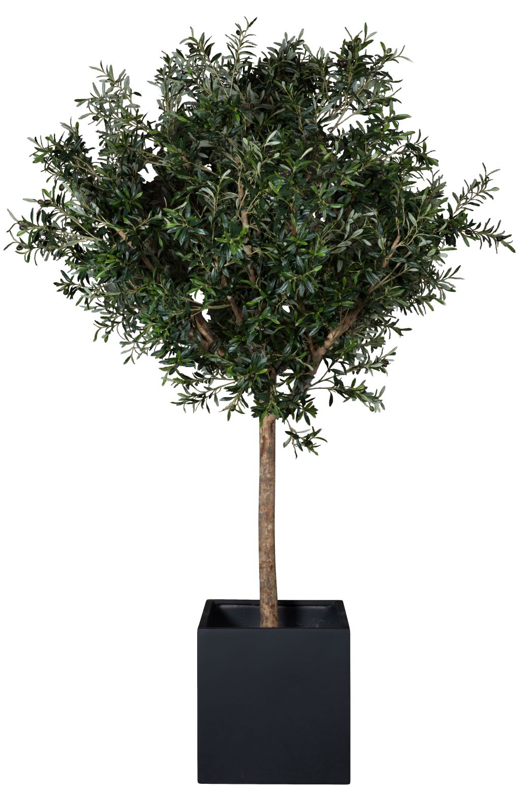 Taiga Olive Tree 230 (olijfboom) Kunstplant Tanaman    